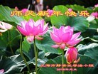 Published on 12/29/2015 ���ֹ�,��½�󷨵��ӹ�ףʦ���������(38��)
