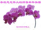 Published on 12/29/2015 ���ֹ�,��½�󷨵��ӹ�ףʦ���������(27��)
