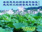 Published on 12/29/2015 ���ֹ�,��½�󷨵��ӹ�ףʦ���������(35��)
