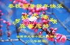 Published on 12/29/2015 ���ֹ�,��½�󷨵��ӹ�ףʦ���������(35��)
