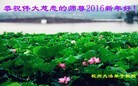Published on 1/1/2016 ���ֹ�,��½�󷨵��ӹ�ףʦ���������(15��)
