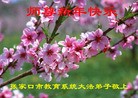 Published on 1/1/2016 ���ֹ�,����ϵͳ�󷨵��ӹ�ףʦ���������(26��)

