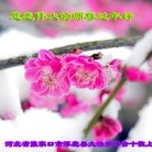 ���ֹ�,�żҿڴ󷨵��ӹ�ףʦ������(24��)
