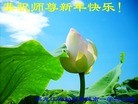 Published on 2/16/2015 ���ֹ�,��½�󷨵��ӹ�ףʦ������(26��)
