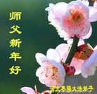 ���ֹ�,�ӱ��󷨵��ӹ�ףʦ������(20��)
