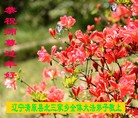 Published on 2/16/2015 ���ֹ�,��½�󷨵��ӹ�ףʦ������(31��)
