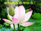 Published on 2/16/2015 ���ֹ�,��½�󷨵��ӹ�ףʦ������(28��)
