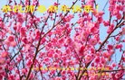 Published on 2/16/2015 ���ֹ�,��½�󷨵��ӹ�ףʦ������(31��)
