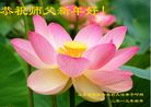 Published on 2/16/2015 ���ֹ�,���󷨵��ӹ�ףʦ������(25��)
