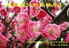 Published on 2/16/2015 ���ֹ�,��½�󷨵��ӹ�ףʦ������(31��)
