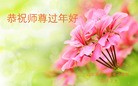 Published on 2/16/2015 ���ֹ�,��½�󷨵��ӹ�ףʦ������(36��)
