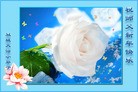Published on 2/21/2015 ���ֹ�,��½�󷨵��ӹ�ףʦ������(117��) ����������
