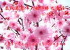 Published on 2/21/2015 ���ֹ�,��½�󷨵��ӹ�ףʦ������(117��) ����������
