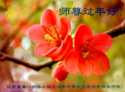 Published on 2/21/2015 ���ֹ�,��½�󷨵��ӹ�ףʦ������(146��)
