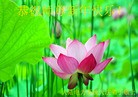 Published on 2/16/2015 ���ֹ�,��½�󷨵��ӹ�ףʦ������(38��)
