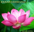 ���ֹ�,ʯ��ׯ�󷨵��ӹ�ףʦ������(27��)
