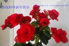 ֹ,󷨵ӹףʦ(26)
