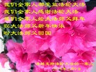 Published on 2/19/2015 ���ֹ�,��½���չ�ף��ʦ������ã�26����

