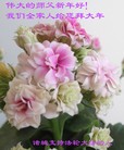 Published on 2/19/2015 ���ֹ�,��½���չ�ף��ʦ������ã�26����
