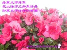 Published on 2/19/2015 ���ֹ�,��½���չ�ף��ʦ������ã�26����
