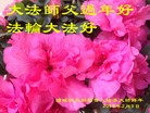 Published on 2/19/2015 ���ֹ�,��½���չ�ף��ʦ������ã�26����
