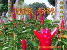 Published on 2/17/2015 ���ֹ�,��½���Ӵ󷨵��ӹ�ףʦ������
