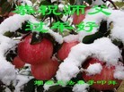Published on 2/16/2015 ���ֹ�,��½�󷨵��ӹ�ףʦ������(42��)

