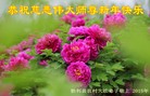 Published on 2/18/2015 ���ֹ�,���󷨵��ӹ�ףʦ������(27��)
