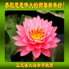 ���ֹ�,ʯ��ׯ�󷨵��ӹ�ףʦ������(27��)
