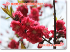 ֹ,մ󷨵ӹףʦ(22)
