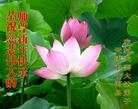 Published on 2/18/2015 ���ֹ�,���󷨵��ӹ�ףʦ������(27��)
