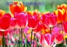 Published on 2/18/2015 ���ֹ�,��½�󷨵��ӹ�ףʦ������(39��)
