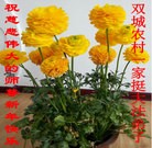 Published on 2/16/2015 ���ֹ�,��½�󷨵��ӹ�ףʦ������(36��)
