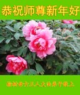 Published on 2/18/2015 ���ֹ�,��½�󷨵��ӹ�ףʦ������(39��)

