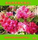 Published on 2/18/2015 ���ֹ�,����ϵͳ�󷨵��ӹ�ףʦ������(22��)
