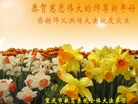 Published on 2/18/2015 ���ֹ�,����ϵͳ�󷨵��ӹ�ףʦ������(22��)
