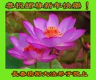 Published on 2/18/2015 ���ֹ�,��½�󷨵��ӹ�ףʦ������(39��)
