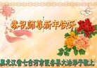 Published on 2/16/2015 ���ֹ�,��½�󷨵��ӹ�ףʦ������(36��)
