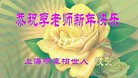 Published on 2/19/2015 ���ֹ�,��½���չ�ף��ʦ������ã�26����
