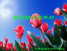 Published on 2/21/2015 ���ֹ�,��½�󷨵��ӹ�ףʦ������(129��)
