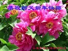 Published on 2/21/2015 ���ֹ�,��½�󷨵��ӹ�ףʦ������(129��)
