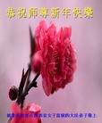 Published on 2/19/2015 ���ֹ�,�Ƿ���Ѻ�󷨵��ӹ�ףʦ������(30��)
