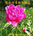 ���ֹ�,�����󷨵��ӹ�ףʦ������(25��)
