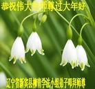 Published on 2/19/2015 ���ֹ�,��½�󷨵��ӹ�ףʦ������(43��)

