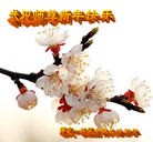 ���ֹ�,�����󷨵��ӹ�ףʦ������(26��)
