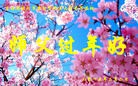 Published on 2/20/2015 ���ֹ�,���󷨵��ӹ�ףʦ������(28��)

