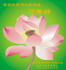 ֹ,ɶ󷨵ӹףʦ(29)
