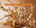ֹ,ʯׯ󷨵ӹףʦ(30)
