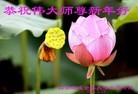 Published on 2/16/2015 ���ֹ�,��½�󷨵��ӹ�ףʦ������(36��)
