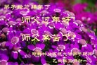 Published on 2/20/2015 ���ֹ�,����ҵ�󷨵��ӹ�ףʦ������(41��)
